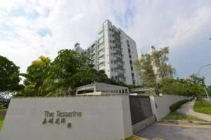 Tesserina Condo Duplicate Card Singapore Duplicate Card Singapore Tesserina Condo Access Card Duplicate